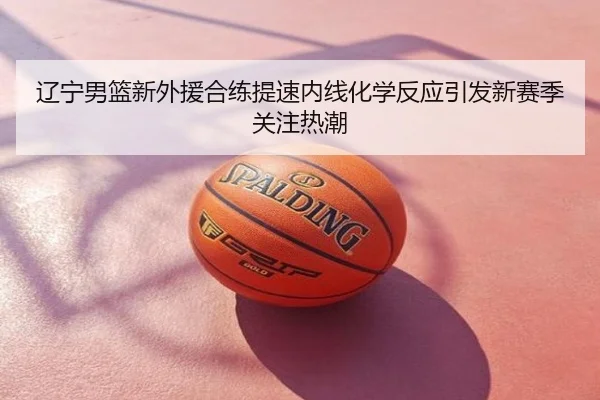 辽宁男篮新外援合练提速内线化学反应引发新赛季关注热潮