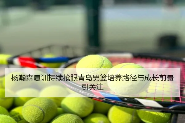 杨瀚森夏训持续抢眼青岛男篮培养路径与成长前景引关注